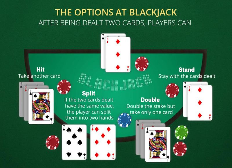 four options in blackjack